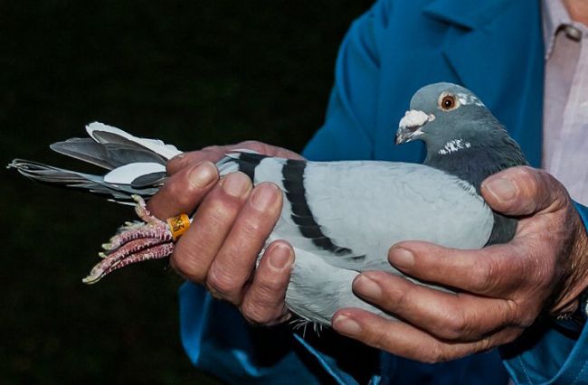 ÿ��һ�룺ʥά�ɳ���ھ��ޱ�(ͼ)