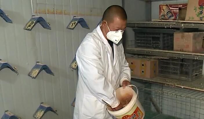 ��ԭ�����������յ��ϡ�������ס�