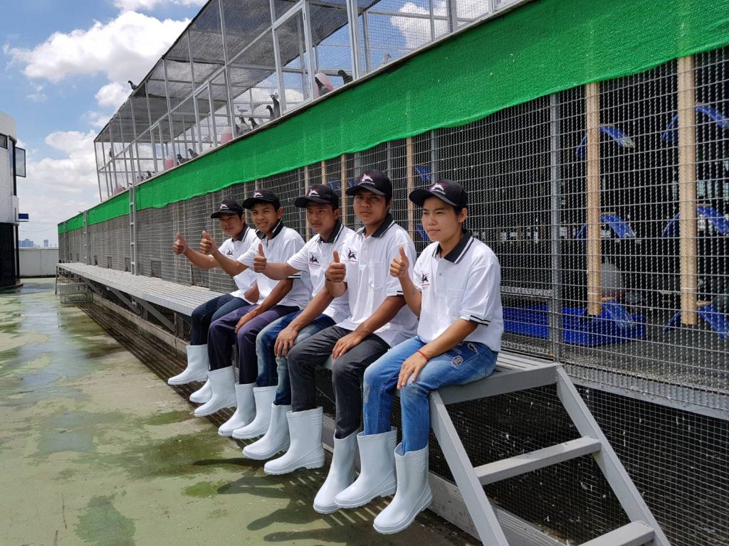 ̩���������ħ����ѵ27�� �����ھ���ǹƥ��ɱ��