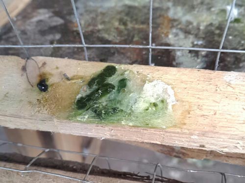 ʮ��𼱣���;�������ĸ��Ӳ��ˣ�