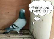 90�󰮸뵳����Ը��� ����06�������