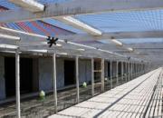 ��������ֲ������������
