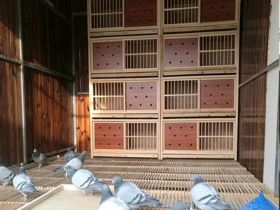 �ҵ��¸��� �������