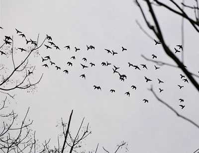 ʫһ�ף����붪ʧ������