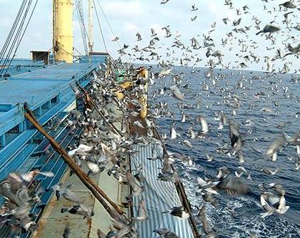 �Ĵ���̨�����������