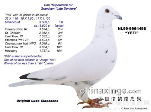 ÿһ룺пõİ׸롰Ұѡ(ͼ)