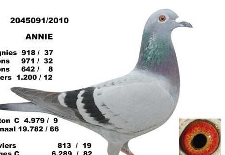 ÿ��һ�룺����������ھ��롰���ݡ�(ͼ)