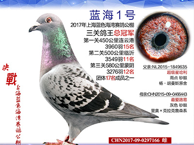 ÿ��һ�룺��������µĸ����ھ�������1�š�