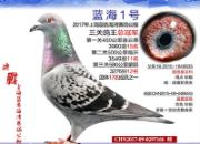 ÿ��һ�룺��������µĸ����ھ�������1�š�