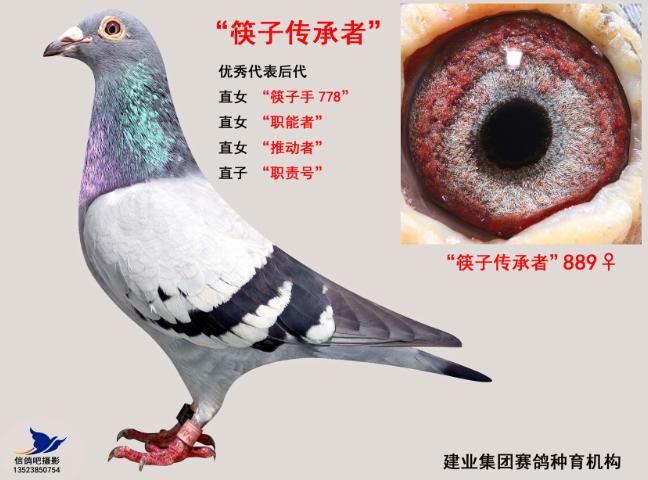 ÿ��һ�룺���Ӵ�������ߡ����Ӵ����ߡ�