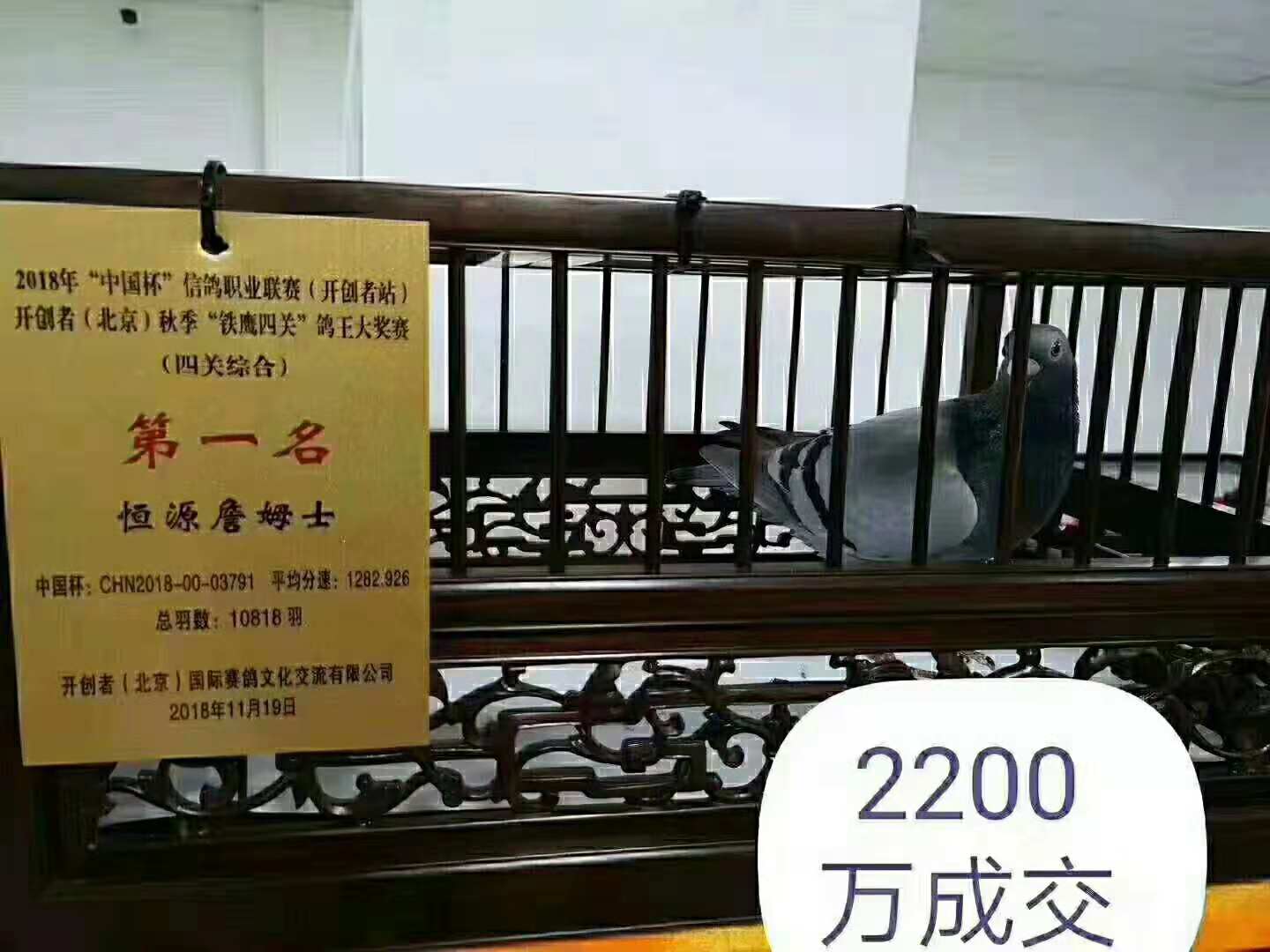 ÿ��һ�룺����С�񿪴����漣�š�