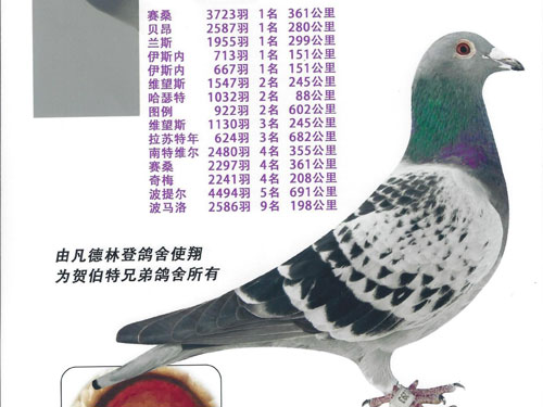 ÿ��һ�룺����ƥ�˳�������