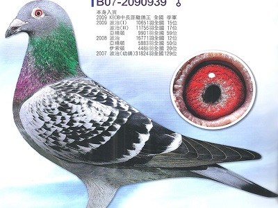 ÿ��һ�룺�����������ָ롰����š�(ͼ)