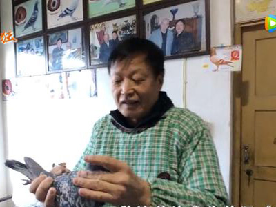 40�����������Ÿ��֣����粮���ָ���Ƶ����