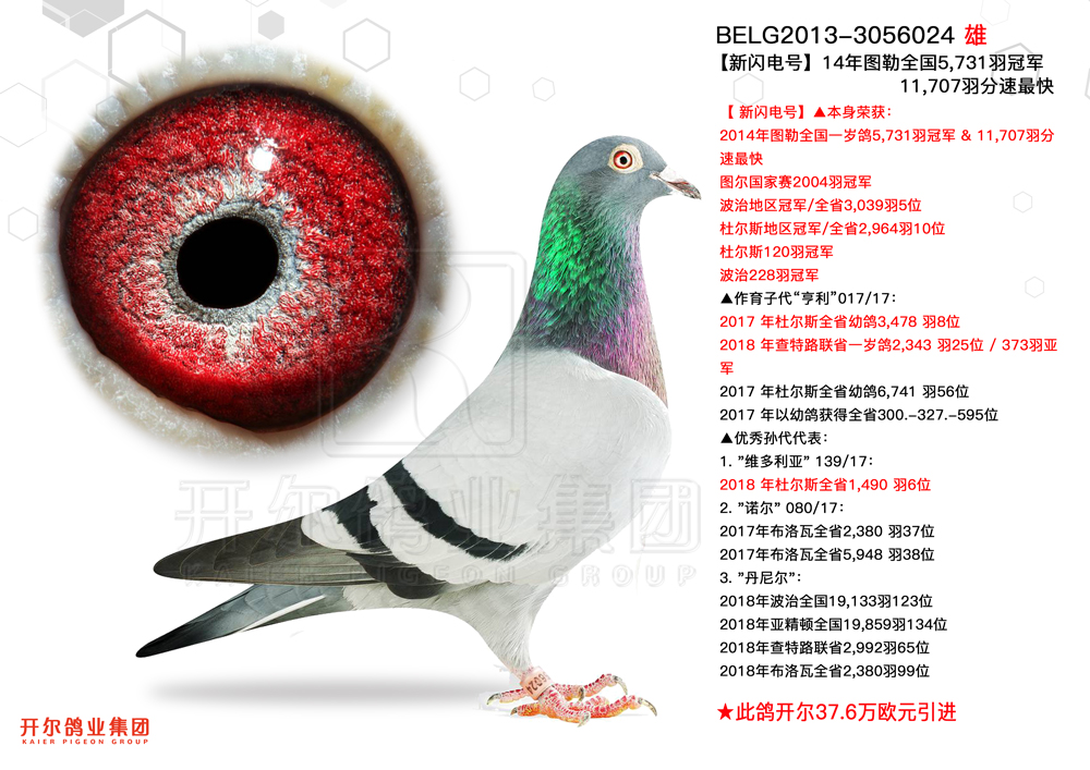 ÿ��һ�룺ͼ��ȫ��5731��ھ���������š�