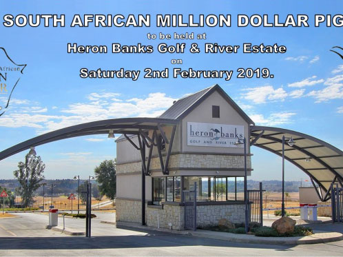 �Ϸ�̫���Ǿ������� �������������������