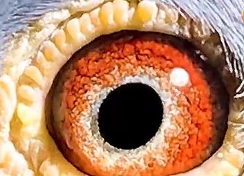 ��Ƶ�����ͨ�����ۼ��͸��ӣ�