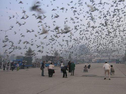 ����о�����̹��� �ٰ���������ظ�����