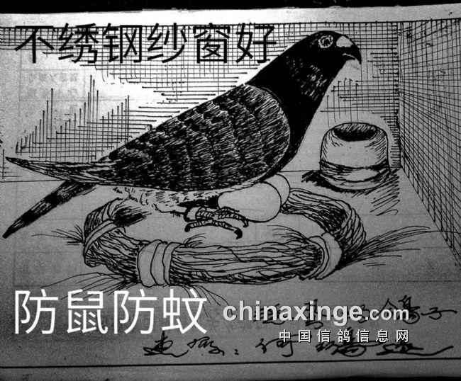 ����ũ���������ַ���