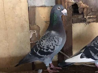 ��������������е�����