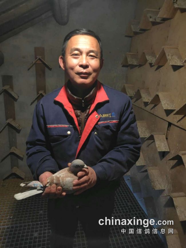 ���Ĵºš��ɸ�λ��