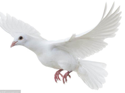 �����괺���������뵽�������Ļ�