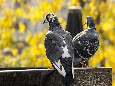 �����״̬û��̬  Ϊ�ɹ��춨����