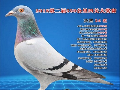 ̸�Ϻ��ֶ����������ֵܸ���