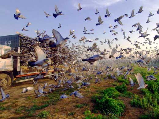 �Ÿ�����δ����չ���ƣ�