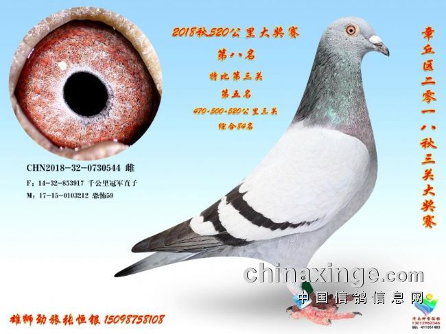 ��Ѫ���������� һ��������ȥ