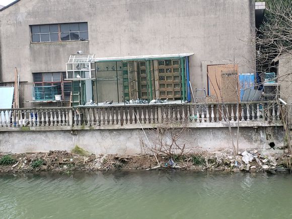 ��ʱ���� ���ᷭ�³ɡ�����С������