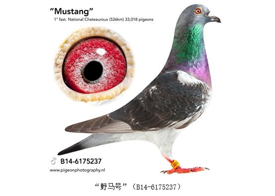 ÿ��һ�룺��˹���š�Ұ���š�