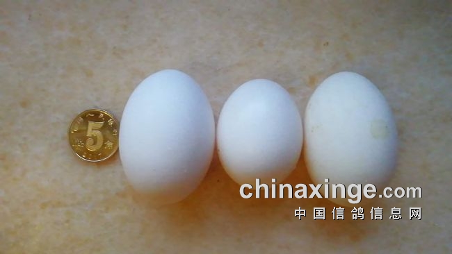 С�Ƹ�������ö����ӵ���ͼ��