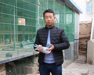 �������������������Ӣ���ھ�����������