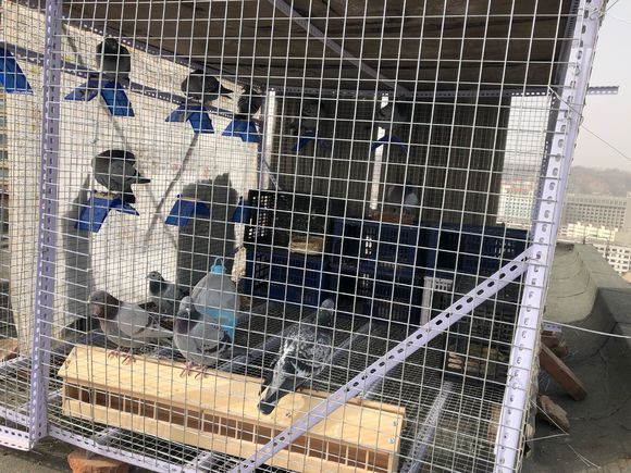 ¥�����ܽ������׸��� �����ɻ���