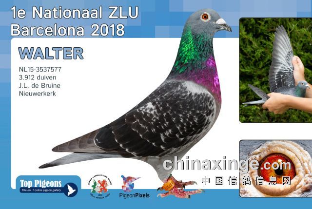 ����������������������� 18��ھ�������