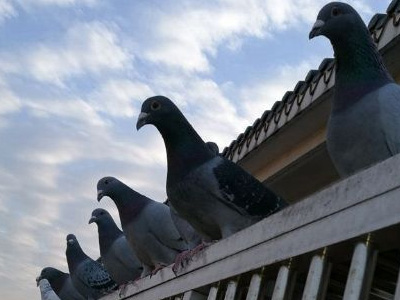 Ҳ�ۼ�����֣���粻��������