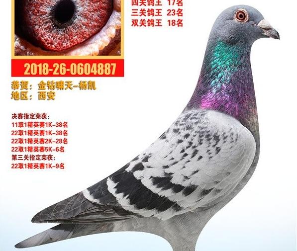 �ྡ�����ٷ괺 ����������Х���������֮·