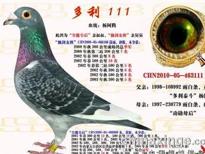 �󻧵Ŀ��գ��󻧵�ʹ�� 