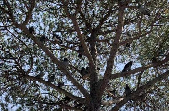 ������ϲ��ȥ���� ��Ը����Ե��δ��