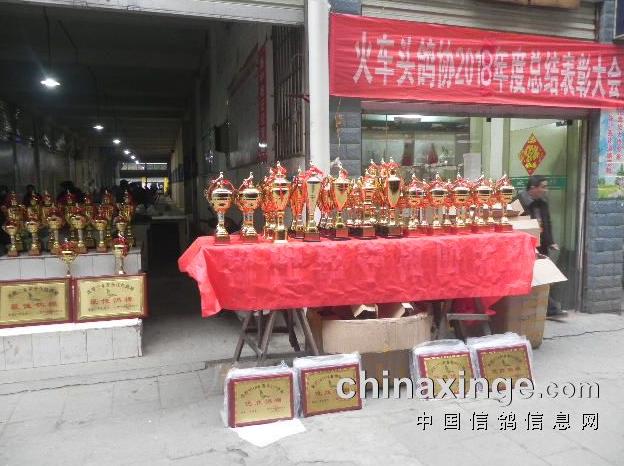 �Ĵ����������ܽ���ô����Ӱ �鳲��ͻ���¸ߣ�