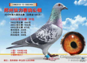 �ھ���ھ� �Ӵ���һ������