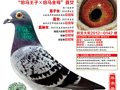 ��Ӣ����ʦ�����ڿΣ�3����ο�ѧ�����׸�