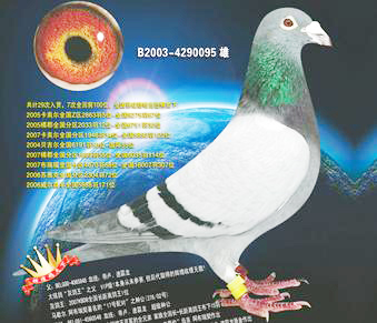 ÿ��һ�룺��¬�ٰ����������Ʒ֮һ���Ҹ�����