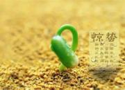 �ٿƷ��������ݵ������� �׸�������ǿ