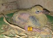 ����������ö�� ����С����׳�ɳ�