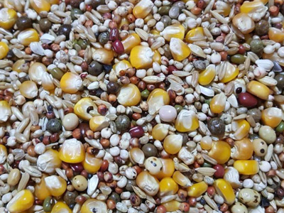 ��Ӣ����ʦ�����ڿΣ�4��ְҵ������ε�������