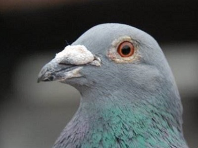 ���룺��Щ�����������������ʶ��Щ