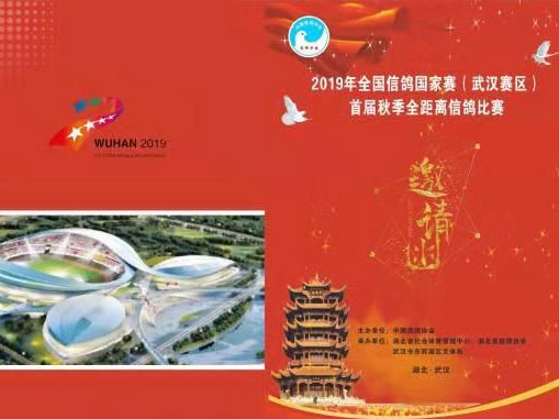 �人�＾ȫ��������� �Ĵ�����11���������