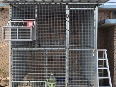 �����깤�ĸ��� ��ָ��